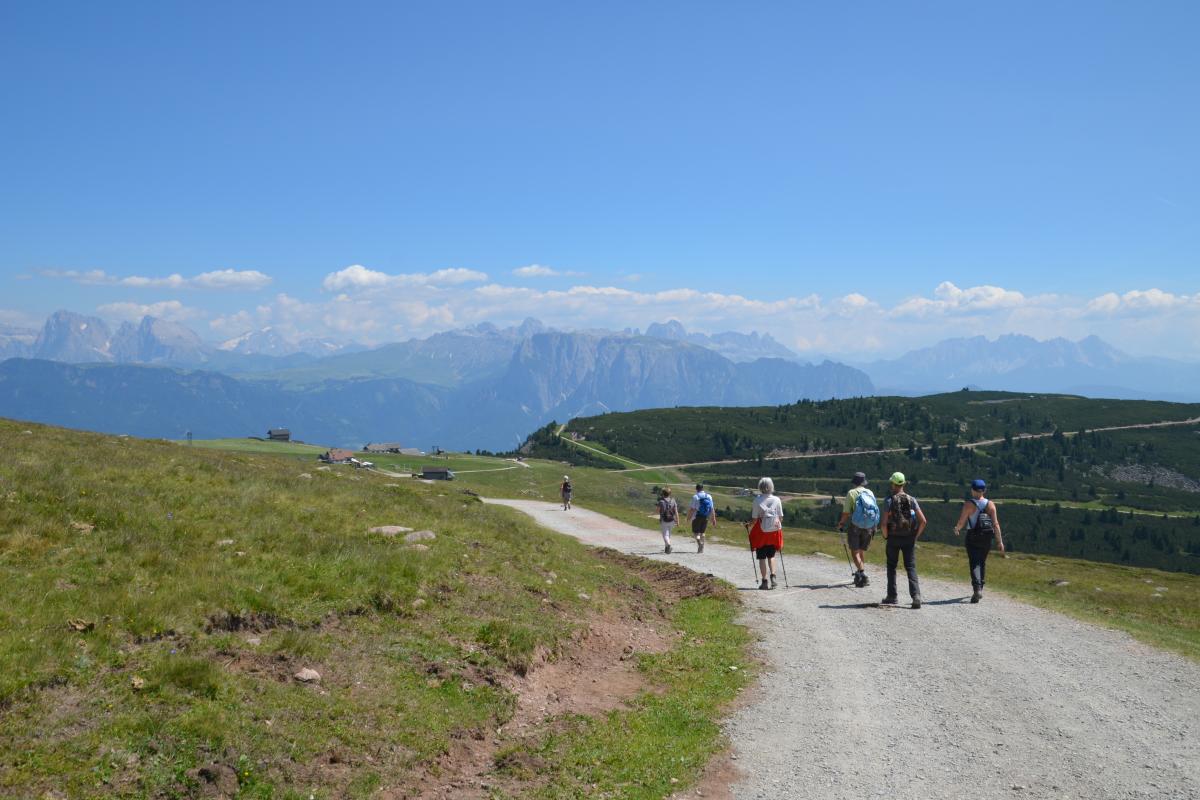 Latschenoelbrennerei und Platzer Alm 23.07.2019